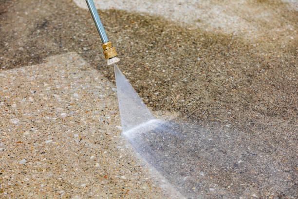 Best Roof Washing  in Monongahela, PA